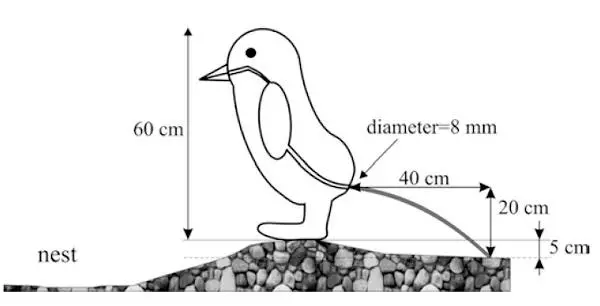 2D9CB1E15B5A6A5ED24B61E0A23_F6DD05A6_25B0.jpg 2D9CB1E15B5A6A5ED24B61E0A23_F6DD05A6_25B0.jpg