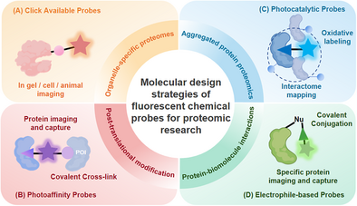 chem71030-gra-0001-m.png