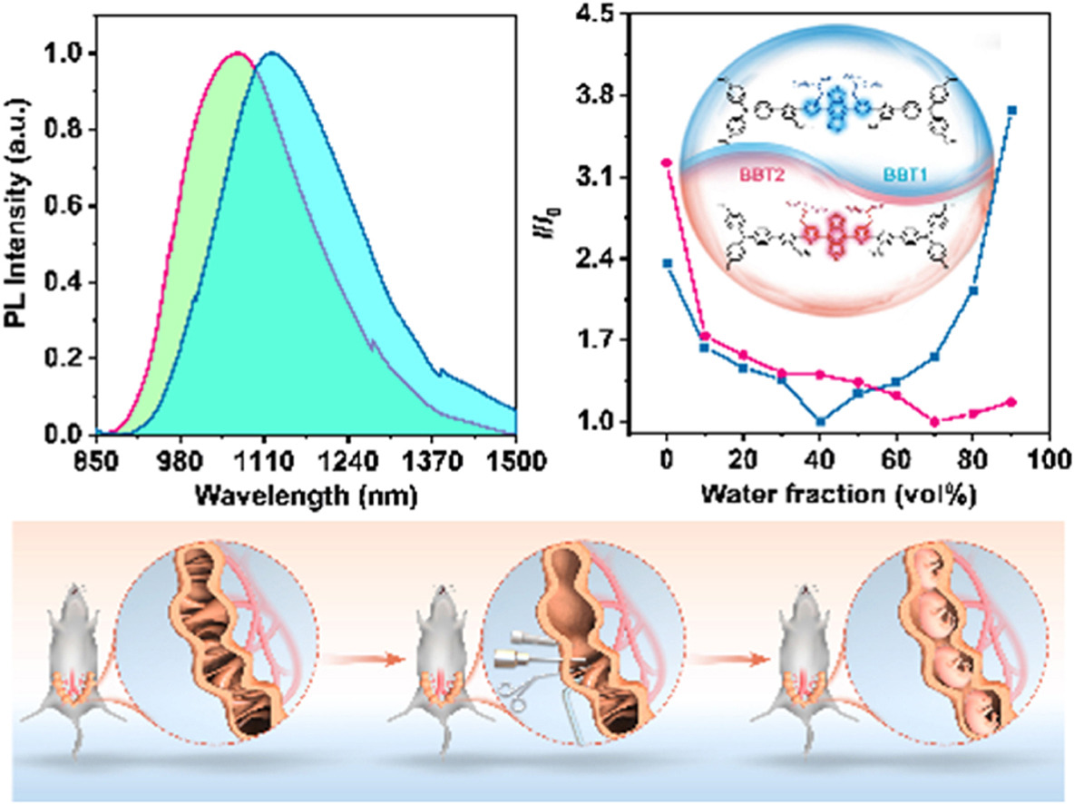 Alkyl side-chain engineering enables significant suppression of conformational relaxation for improved near infrared-II imaging-guided uterine recanalization surgery and cancer phototheranostics.jpg