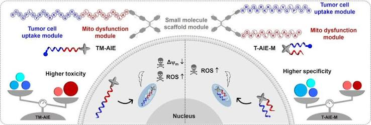 16_2021_Spatial_Order_of_Functional_Modules_Enabling_Diverse_Intracellular_Performance_of.png 16_2021_Spatial_Order_of_Functional_Modules_Enabling_Diverse_Intracellular_Performance_of.png