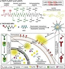 18_2019_A_Multifunctional_Peptide-Conjugated_AIEgen_for_Efficient_and_Sequential_Targeted.png 18_2019_A_Multifunctional_Peptide-Conjugated_AIEgen_for_Efficient_and_Sequential_Targeted.png