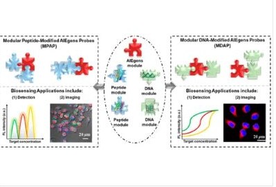 08_2019_Modular_Design_of_Peptide-_or_DNA-Modified_AIEgen_Probes_for_Biosensing_Applicatio.png 08_2019_Modular_Design_of_Peptide-_or_DNA-Modified_AIEgen_Probes_for_Biosensing_Applicatio.png