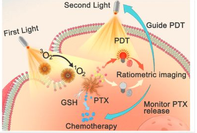 24_2021_Self-Guiding_Polymeric_Prodrug_Micelles_with_Two_Aggregation-Induced_Emission_Phot.png 24_2021_Self-Guiding_Polymeric_Prodrug_Micelles_with_Two_Aggregation-Induced_Emission_Phot.png