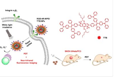 25_2020_Efficient_Near-Infrared_Photosensitizer_with_Aggregation-Induced_Emission_for_Imag.png 25_2020_Efficient_Near-Infrared_Photosensitizer_with_Aggregation-Induced_Emission_for_Imag.png