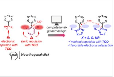 30_2024_Computation-Guided_Discovery_of_Diazole_Monosubstituted_Tetrazines_as_Optimal_Bioo.png 30_2024_Computation-Guided_Discovery_of_Diazole_Monosubstituted_Tetrazines_as_Optimal_Bioo.png