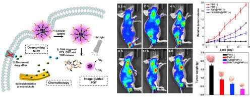 39_2019_Drug_delivery_micelles_with_efficient_near-infrared_photosensitizer_for_combined_i.png 39_2019_Drug_delivery_micelles_with_efficient_near-infrared_photosensitizer_for_combined_i.png