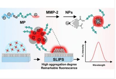 56_2021_Tunning_Intermolecular_Interaction_of_Peptide-Conjugated_AIEgen_in_Nano-Confined_S.png 56_2021_Tunning_Intermolecular_Interaction_of_Peptide-Conjugated_AIEgen_in_Nano-Confined_S.png