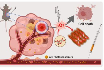 58_2020_Aggregation-Induced_Emission_Photosensitizers_From_Molecular_Design_to_Photodynami.png 58_2020_Aggregation-Induced_Emission_Photosensitizers_From_Molecular_Design_to_Photodynami.png