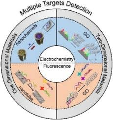 44_2019_One-dimensional_and_two-dimensional_nanomaterials_for_the_detection_of_multiple_bi.png 44_2019_One-dimensional_and_two-dimensional_nanomaterials_for_the_detection_of_multiple_bi.png